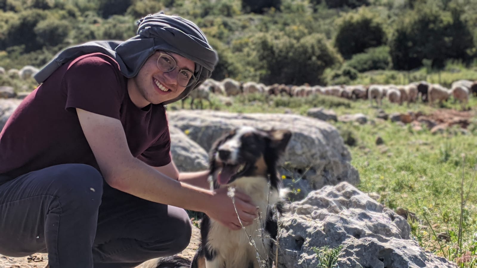 Image gallery marquee